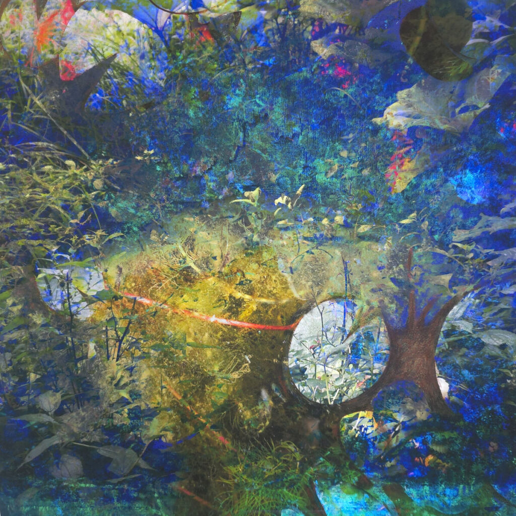 Astrid van Rijn Nature box 2025 tekening, pastel, conte, houtskool, fine art print/dibond