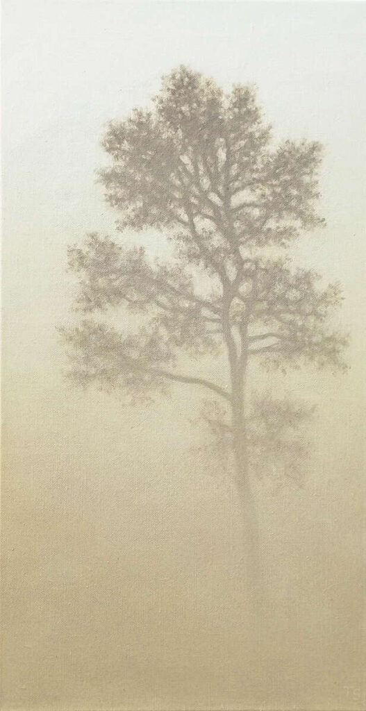 Tobias Spierenburg Pijnboom, zon, mist olieverf op doek